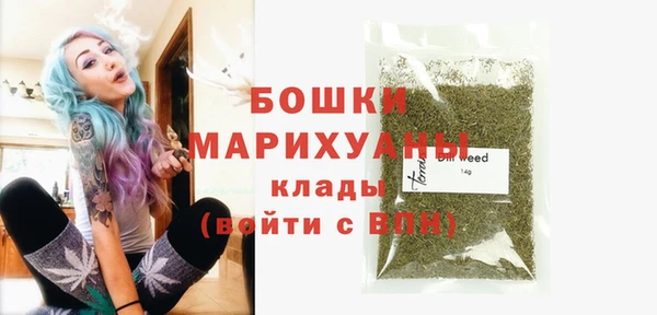 дмт Бронницы